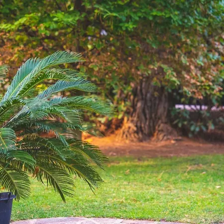 Il Girasole Bed & Breakfast Corciano