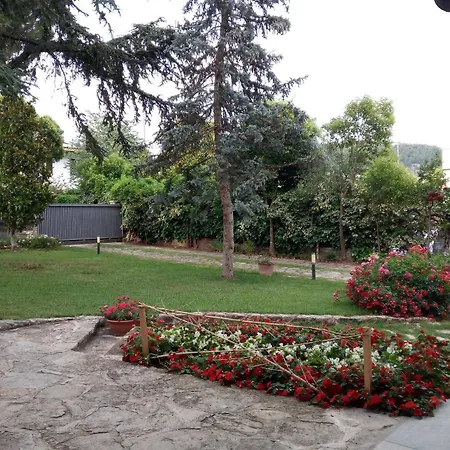 Il Girasole