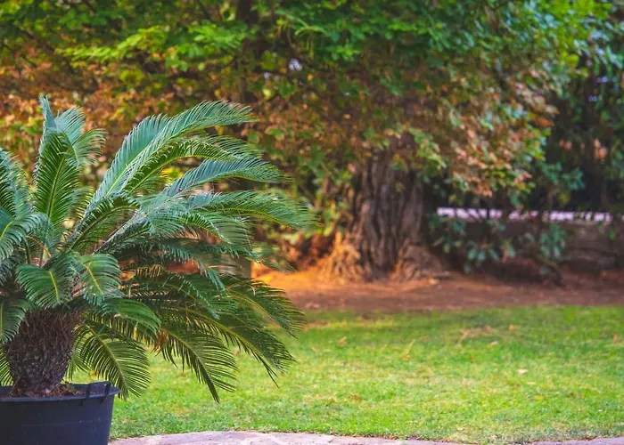 Il Girasole Alojamento de Acomodação e Pequeno-almoço Corciano